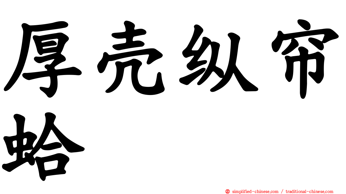 厚壳纵帘蛤