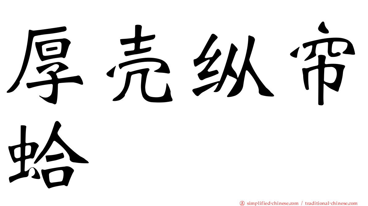 厚壳纵帘蛤
