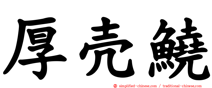 厚壳鱙
