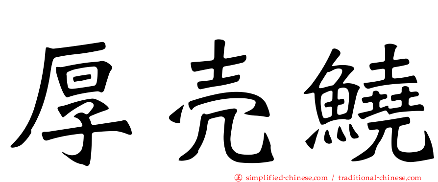 厚壳鱙