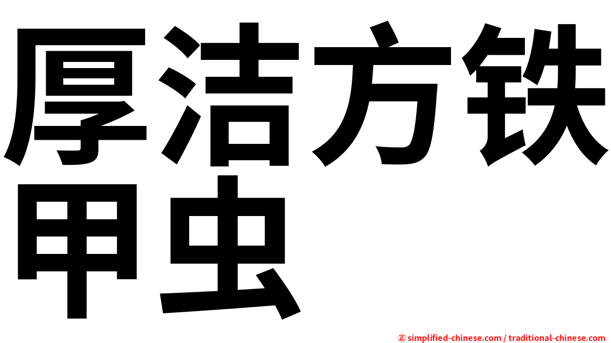 厚洁方铁甲虫