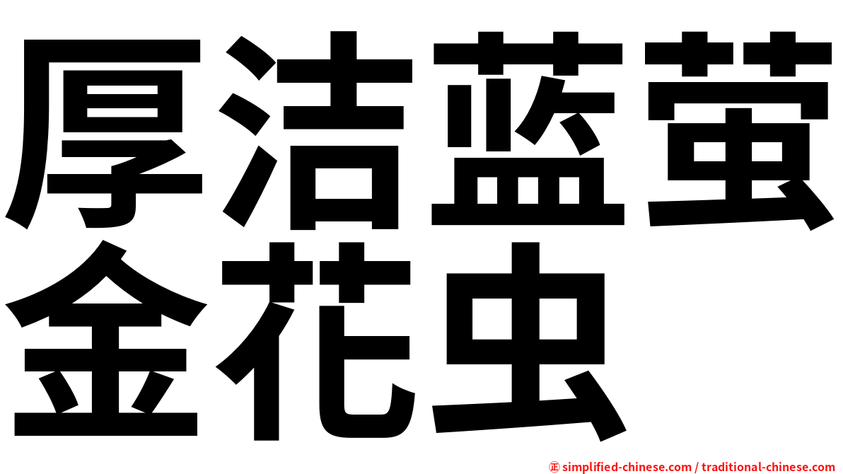 厚洁蓝萤金花虫