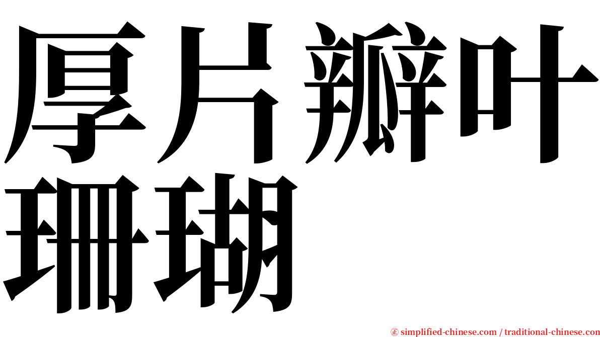 厚片瓣叶珊瑚 serif font
