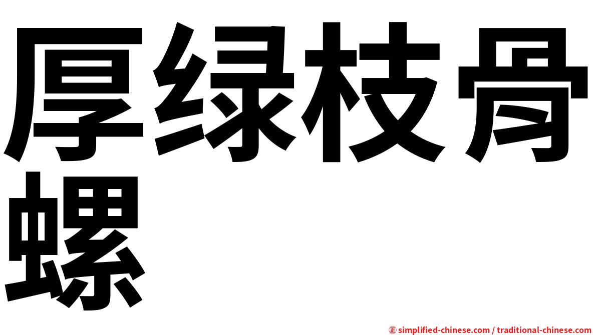 厚绿枝骨螺