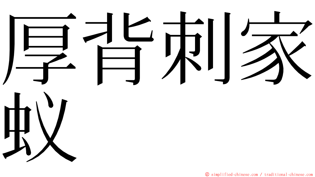 厚背刺家蚁 ming font