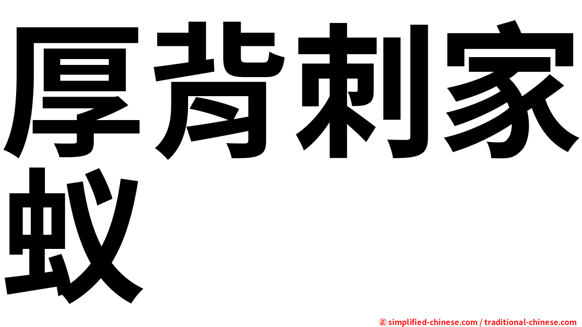 厚背刺家蚁
