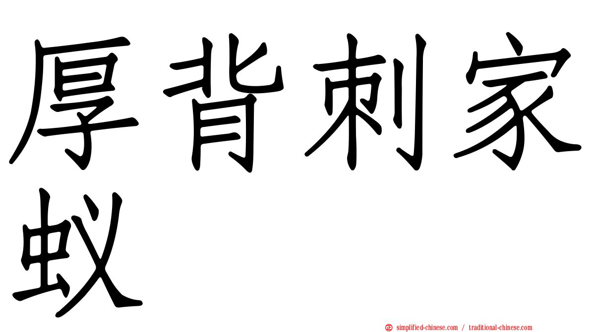 厚背刺家蚁