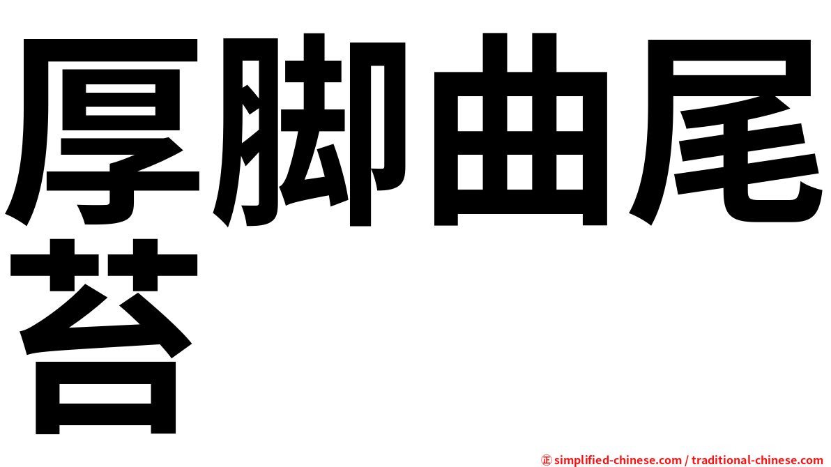 厚脚曲尾苔