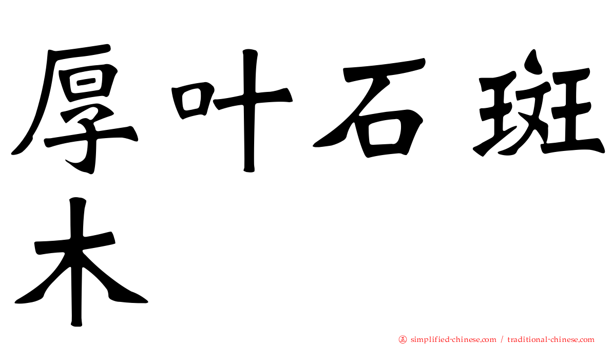 厚叶石斑木