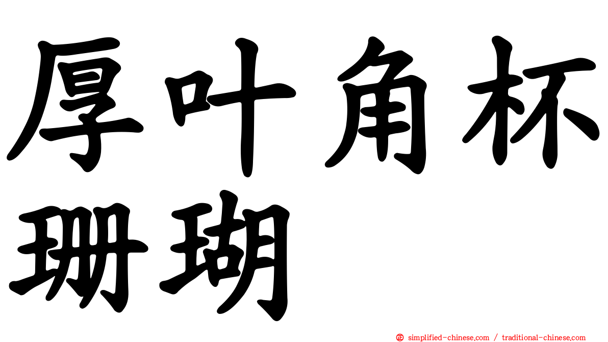 厚叶角杯珊瑚