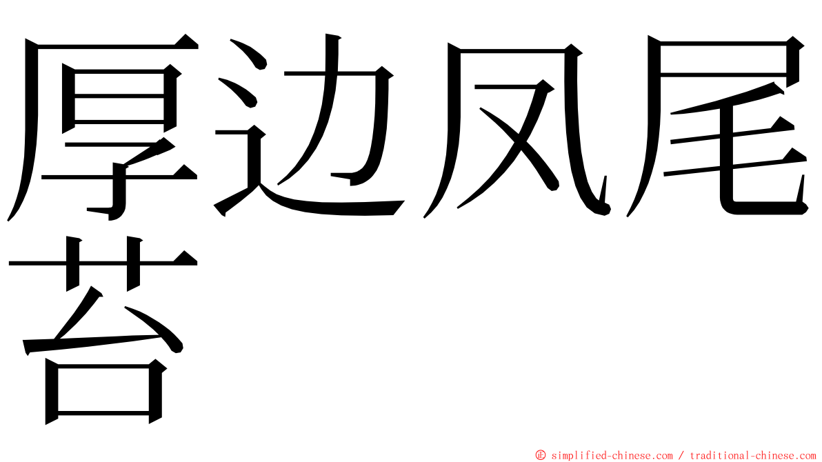 厚边凤尾苔 ming font