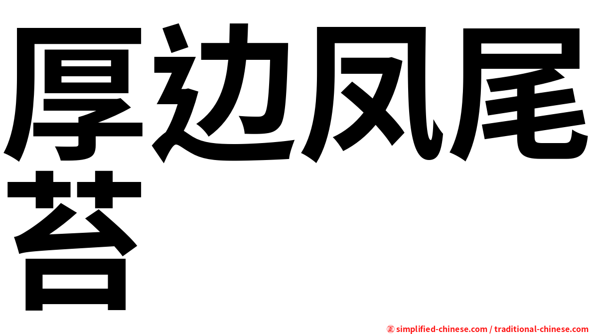 厚边凤尾苔