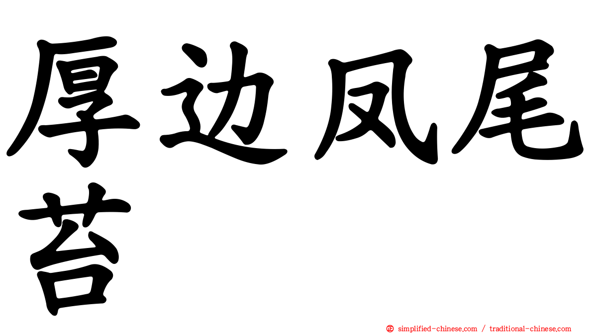 厚边凤尾苔