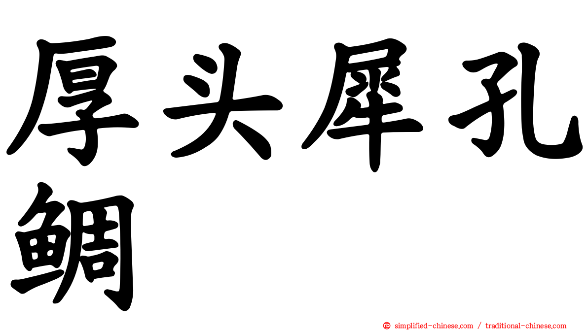 厚头犀孔鲷