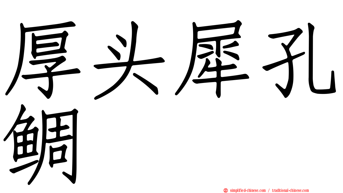 厚头犀孔鲷