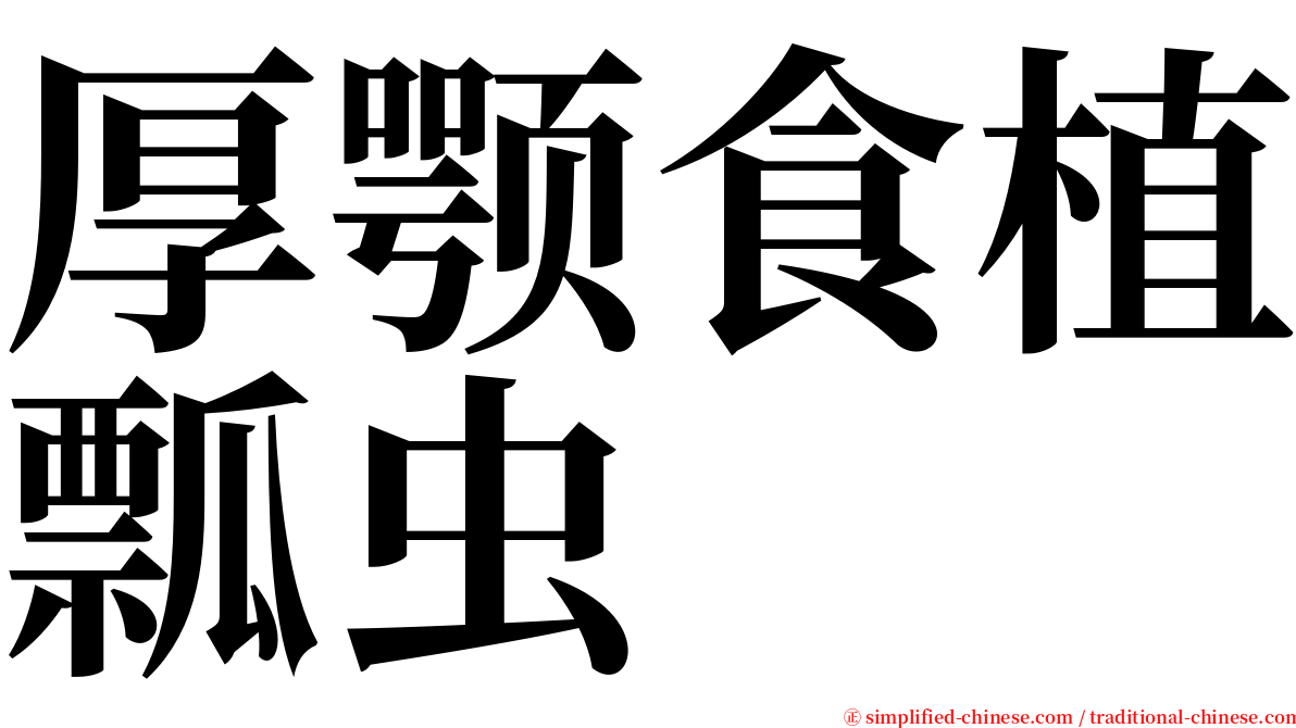 厚颚食植瓢虫 serif font