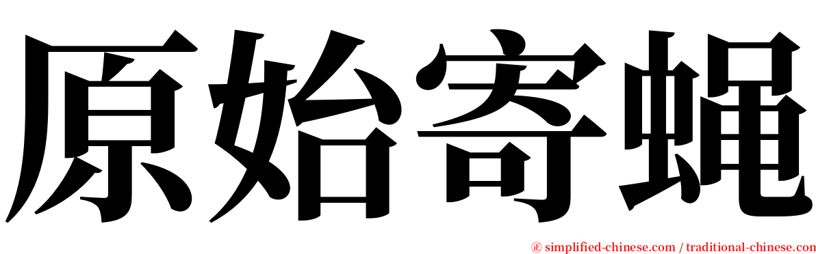 原始寄蝇 serif font