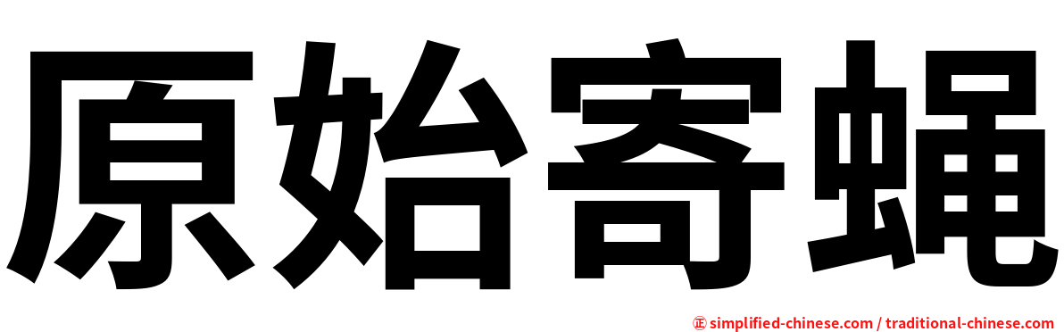 原始寄蝇