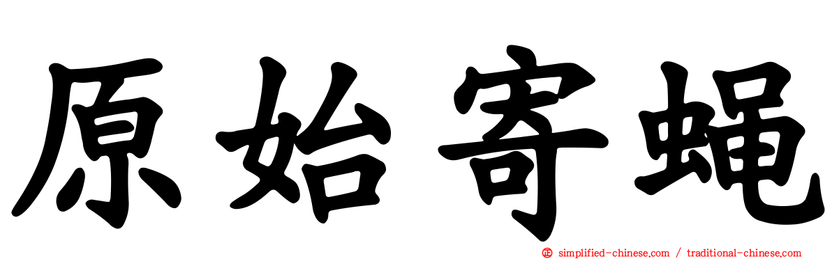 原始寄蝇