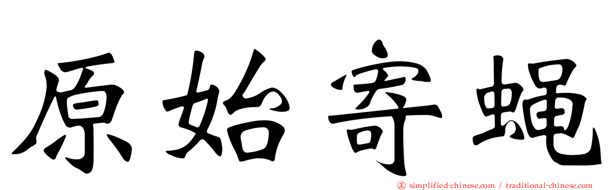 原始寄蝇
