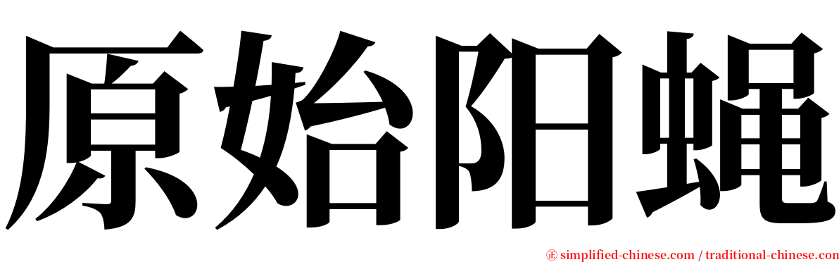 原始阳蝇 serif font