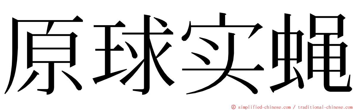 原球实蝇 ming font
