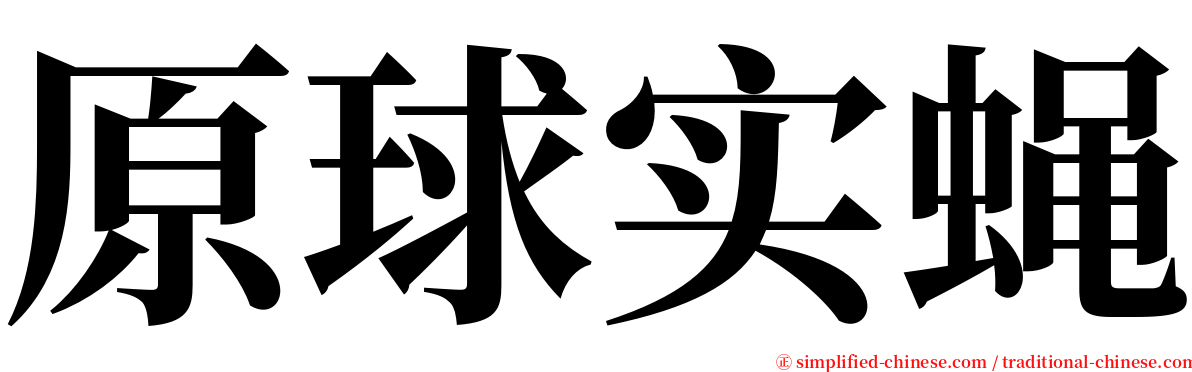 原球实蝇 serif font