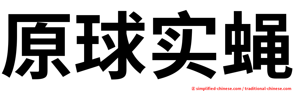 原球实蝇