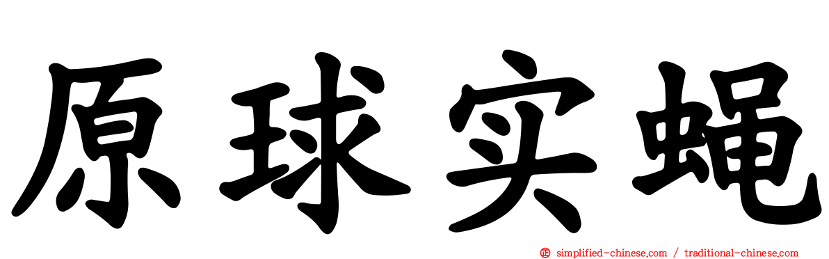 原球实蝇