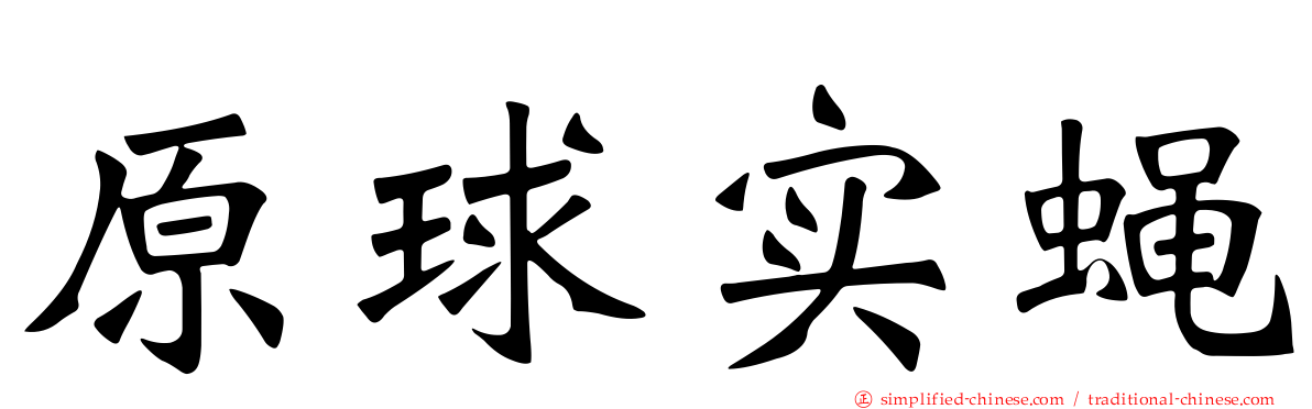 原球实蝇