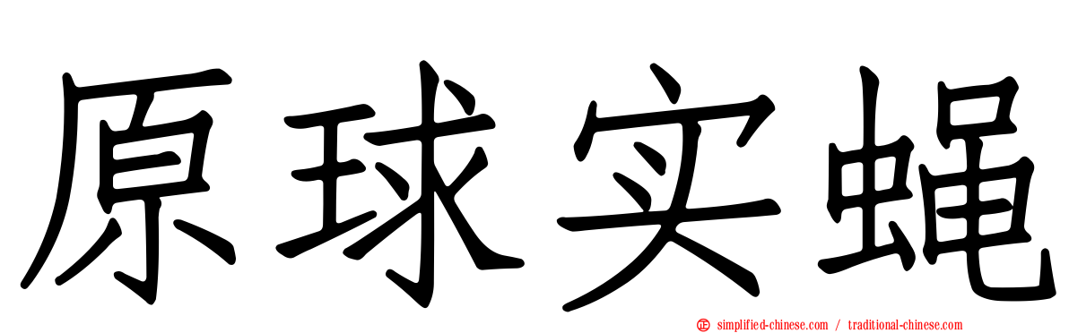 原球实蝇
