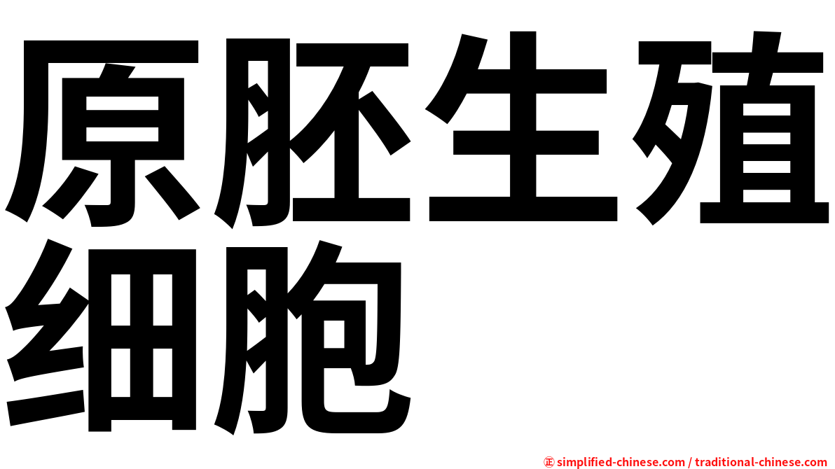 原胚生殖细胞