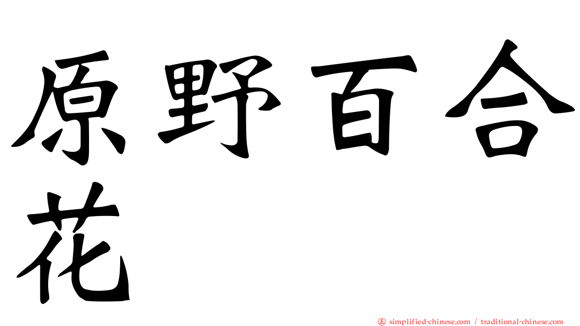 原野百合花