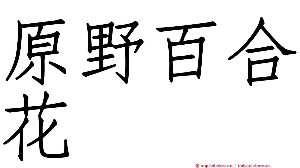 原野百合花