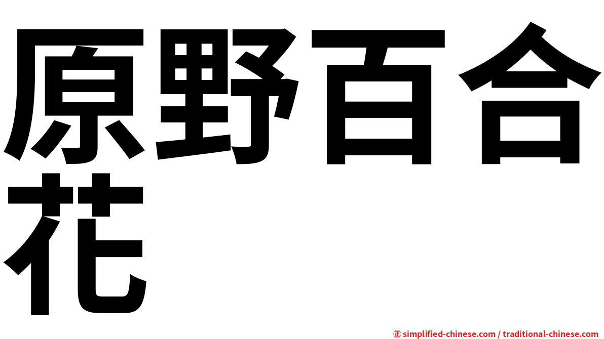 原野百合花