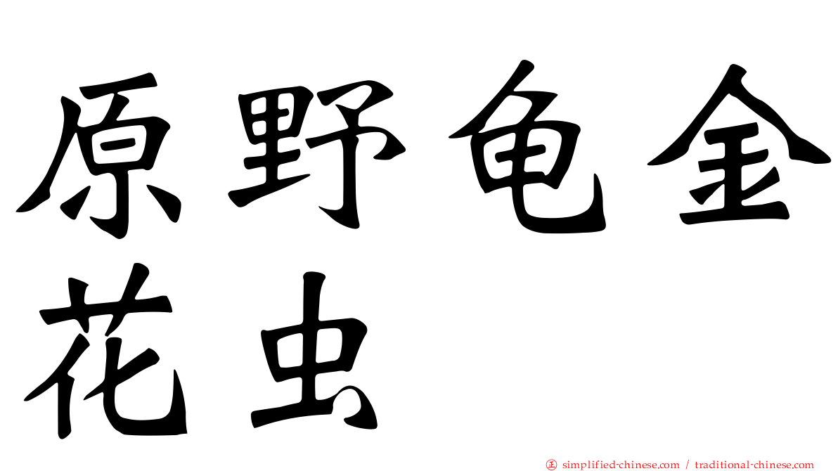 原野龟金花虫