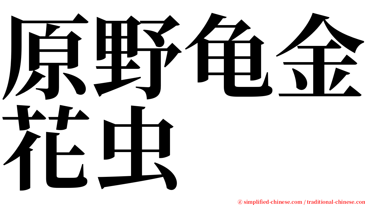 原野龟金花虫 serif font