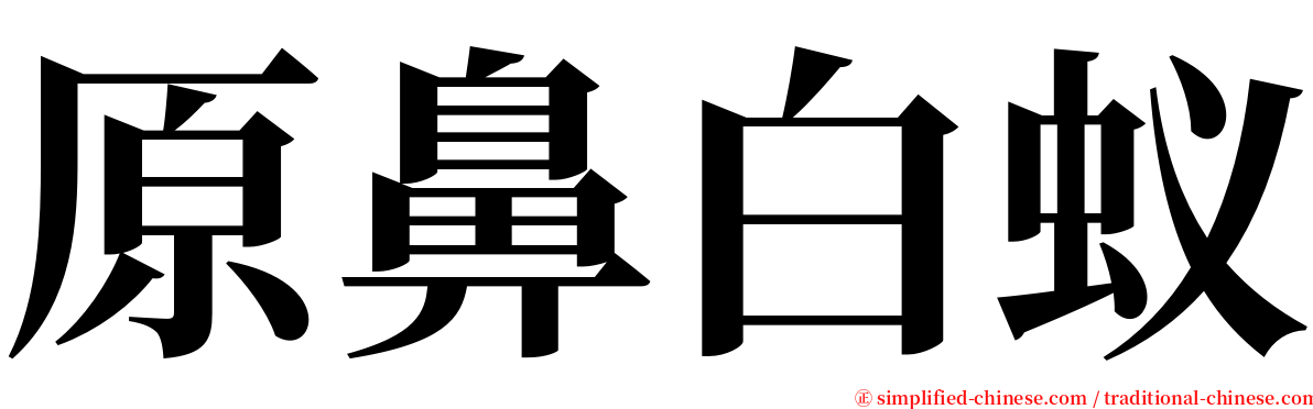 原鼻白蚁 serif font