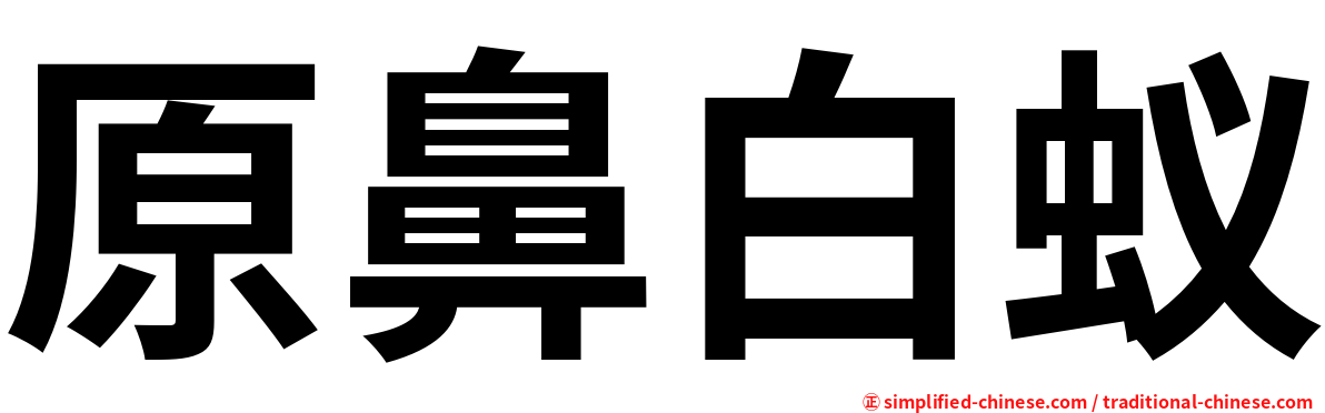 原鼻白蚁