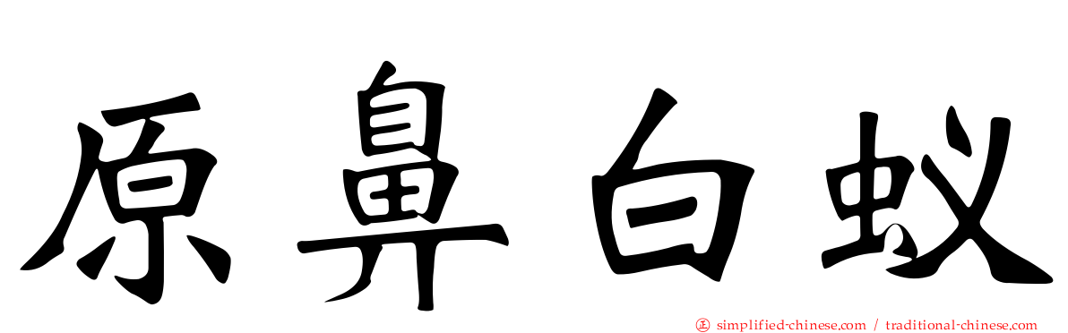 原鼻白蚁