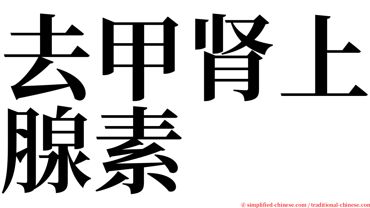去甲肾上腺素 serif font