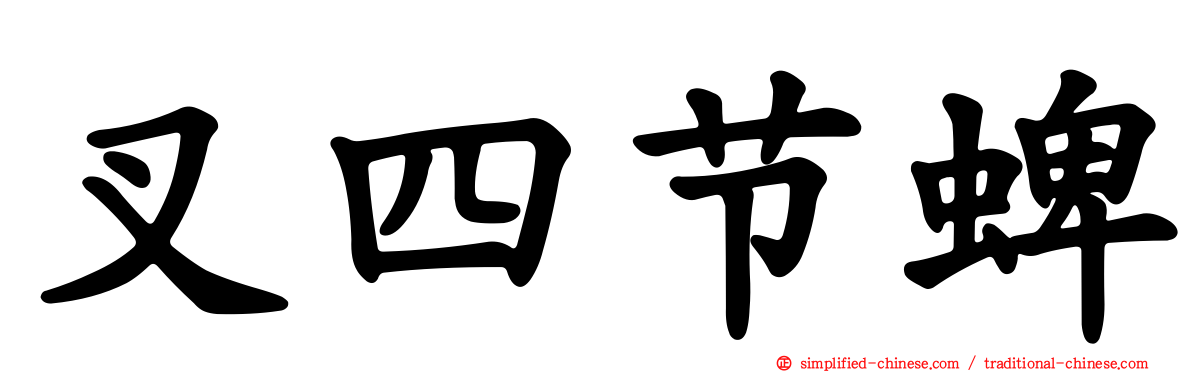 叉四节蜱