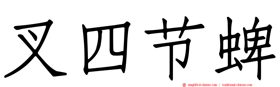 叉四节蜱