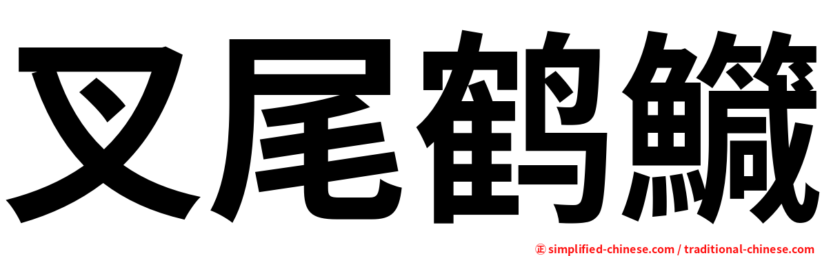 叉尾鹤鱵