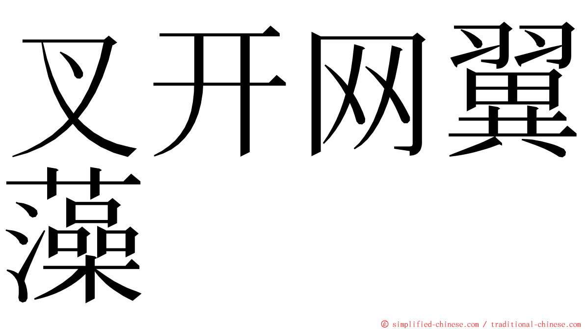 叉开网翼藻 ming font