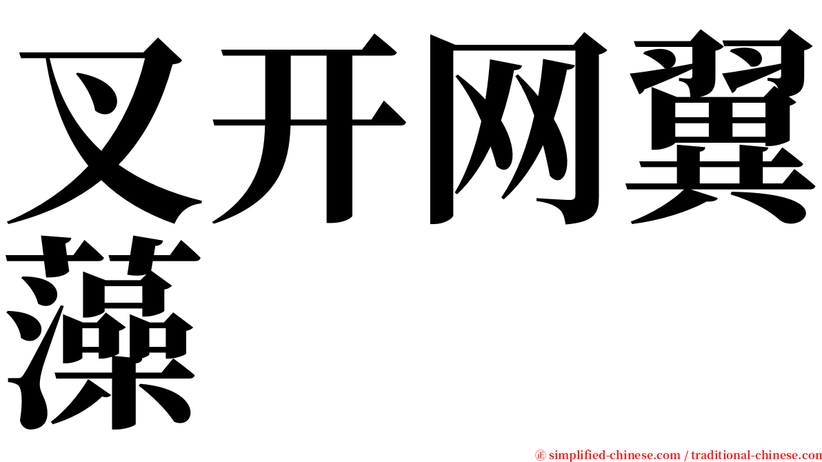叉开网翼藻 serif font