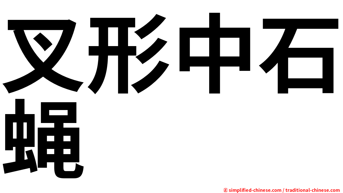 叉形中石蝇
