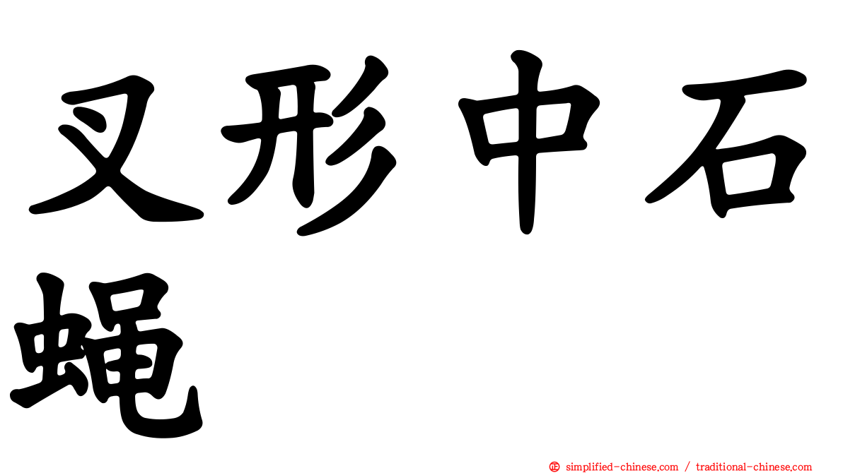 叉形中石蝇