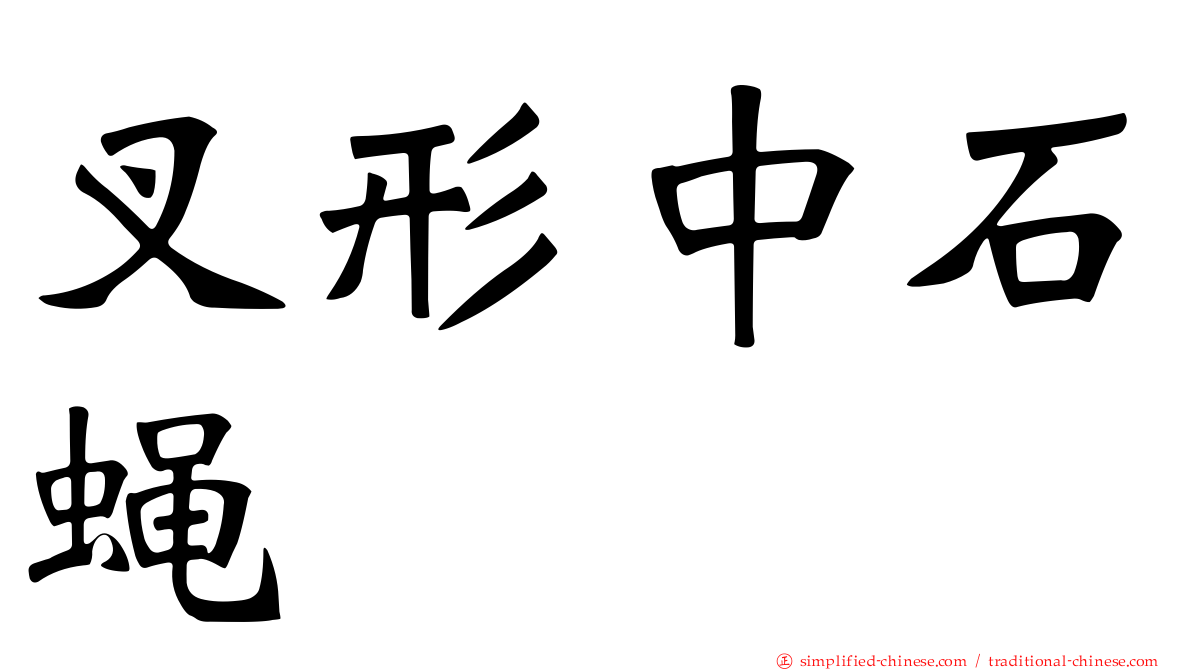 叉形中石蝇