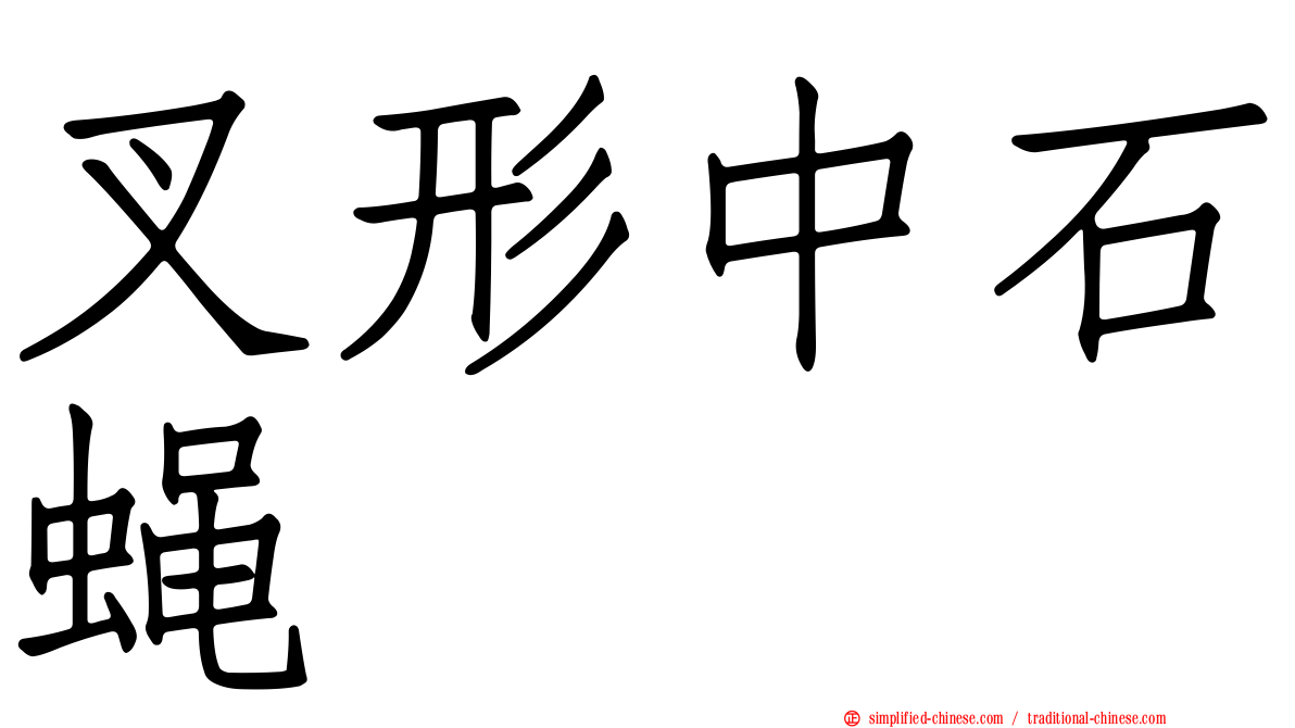 叉形中石蝇